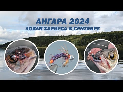 Видео: Ангара 2024. Ловля Хариуса в сентябре командой Sibnymph.