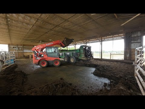 Видео: Очистка коровника и посев тритикале