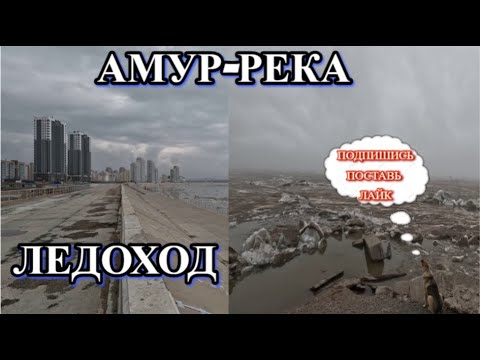 Видео: ХАБАРОВСК 17.04.24/РЕКА АМУР/ЛЕДОХОД/НАБЕРЕЖНАЯ ХАБАРОВСКА/ВСЕМ ПРИЯТНОГО ПРОСМОТРА/ВСЕХ ОБНЯЛ