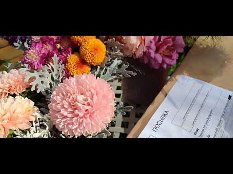 Видео: Розы из питомника Душа Сада🤗🌹🌹🌹