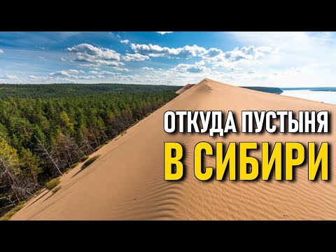 Видео: Пустыня в Сибири. Кто насыпал столько песка?