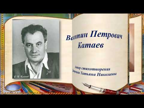 Видео: Татьяна Дворецкая, воспитатель Школы № 1499. Детям о творчестве Валентина Петровича Катаева