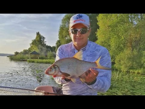 Видео: Як ловити ляща на фідер. Поради від чемпіона. Конкурс!!!