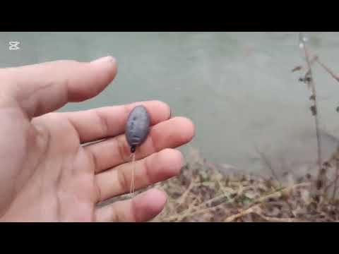 Видео: Маринка ови