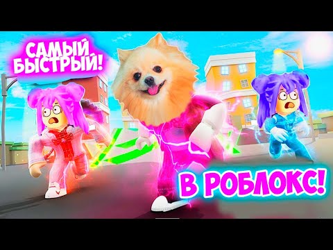Видео: САМЫЙ БЫСТРЫЙ В РОБЛОКС ! ВЕСЕЛЫЙ ОББИ В РОБЛОКС ! OBBY ROBLOX Speed Runner