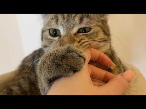 Видео: Новости в Марысятне 🥰