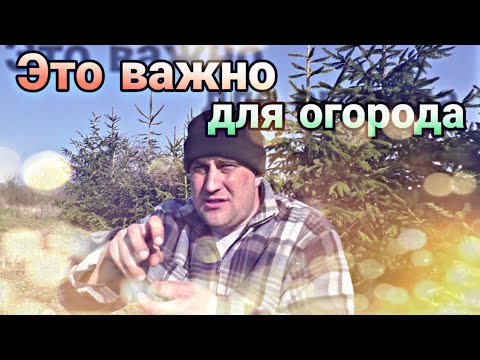 Видео: Зачем ВЕСНОЙ культивировать и закрывать влагу в почве ОБЯЗАТЕЛЬНО☝️