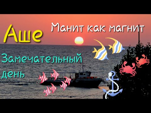 Видео: Прокатился до станции Водопадный и вернулся в АШЕ , манит как магнит 🚆🏊🌊⛱️⛵☀️🧿🧭