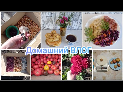 Видео: Домашний ВЛОГ.  ШОК КОНТЕНТ!!!! Картофельное РАЗОБЛАЧЕНИЕ лентяйки! И прочие домашние дела.
