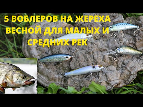 Видео: ТОП 5 ВОБЛЕРОВ НА ЖЕРЕХА ВЕСНОЙ ДЛЯ МАЛЫХ И СРЕДНИХ РЕК