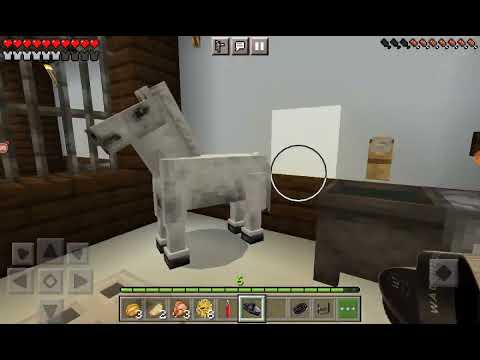 Видео: День на КСК `•Тёмный рыцарь•`