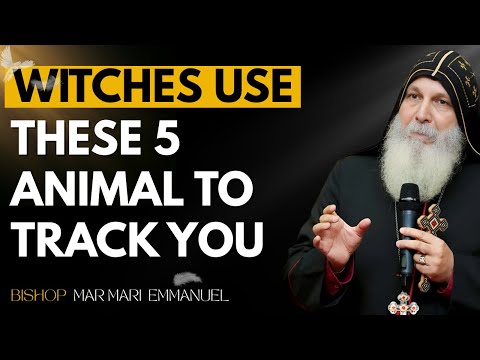 Видео: 5 животных, которых ВЕДЬМЫ используют, чтобы следить за каждым вашим шагом | MAR MARI EMMANUE
