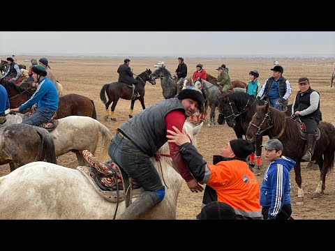 Видео: Мақсатұлы Жандостың көкпар тойы 31.01.2021