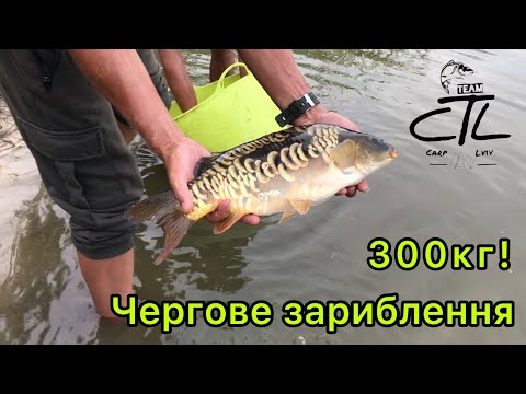 Видео: Проект Оренда Озера |Частина XV | Чергове зариблення | Реставрація озерця-акваріума