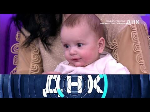 Видео: ДНК 2025 | «Альфонс „сделал“ ребенка стриптизерше » 1080HD