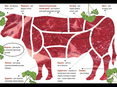 Видео: Лекція №4 - обробка різних видів м'яса