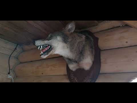 Видео: Обзор усадьбы Милашки на Браславских озерах