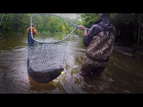 Видео: Ловля лосося на реке Мичиган на блесны — Клюют!