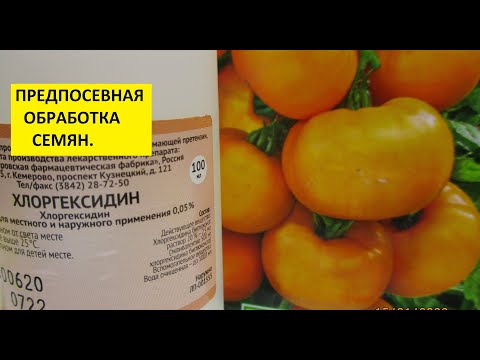 Видео: Хлоргексидин. Как протравить семена перед посевом быстро и безопасно? Обработайте Хлоргексидином!