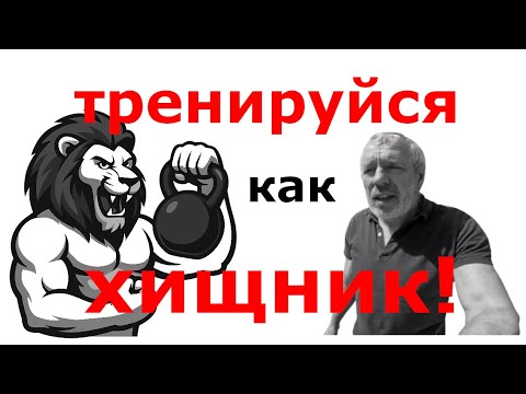 Видео: тренируйся как хищник!