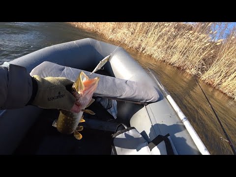 Видео: За щукой С ЛОДКИ В ЯНВАРЕ!? А почему бы и нет!?)