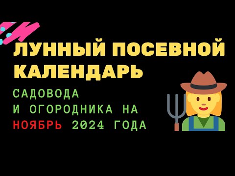 Видео: Лунный посевной календарь садовода и огородника на ноябрь 2024 года