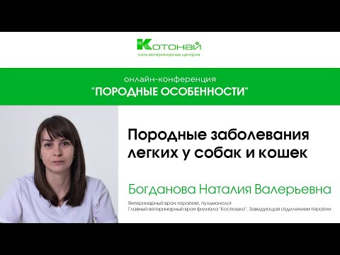 Видео: Породные особенности - взгляд ветеринарного пульмонолога | Богданова Наталия Валерьевна