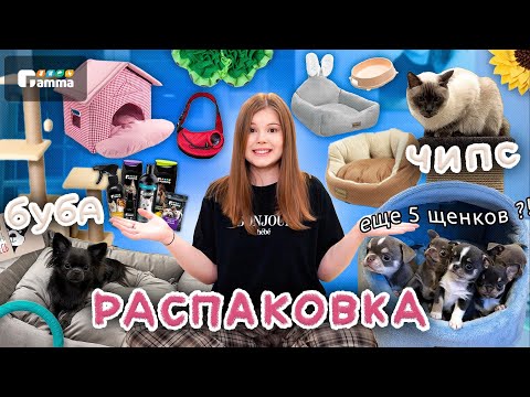 Видео: РАСПАКОВКА ПОКУПОК для ЩЕНКА и КОТА 🐶🐈‍⬛ | Gamma |