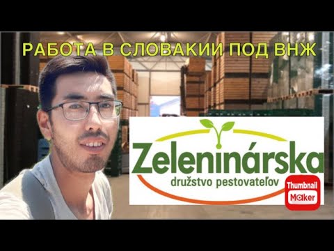 Видео: Работа в Словакии под ВНЖ часть-2