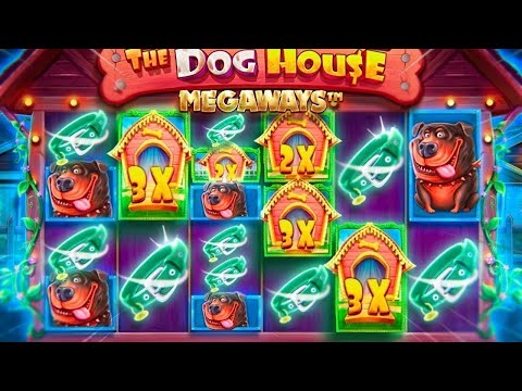 Видео: КУПИЛ МНОГО ДОРОГИХ БОНУСОК В THE DOG HOUSE MEGAWAYS! ЭТО ЛУЧШАЯ СЕССИЯ В СОБАКАХ!