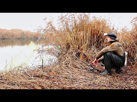 Видео: Поклёвки Каждые 2 Минуты! Райская Рыбалка на Одну Удочку