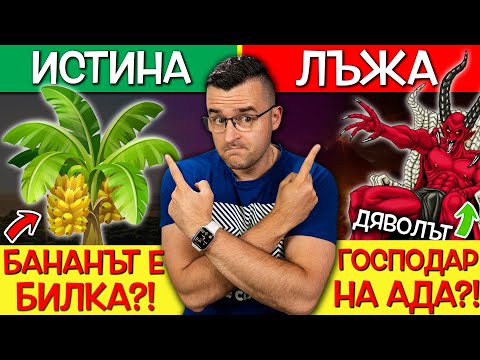 Видео: 13 ПОПУЛЯРНИ ТВЪРДЕНИЯ - Истина или Лъжа? - Пробвайте се!