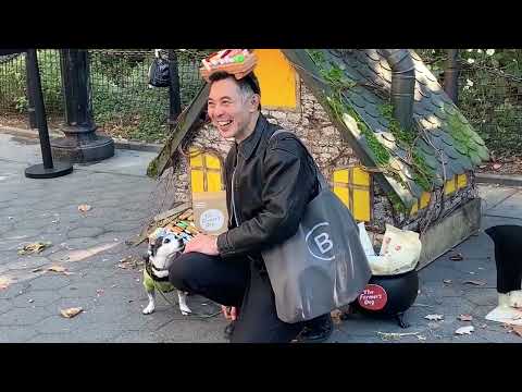 Видео: #12 ХЭЛЛОУИН для СОБАК в НЬЮ ЙОРКЕ 2025! Прикольный ОБЗОР Хэллоуин ПАРАДА для собак в Манхэттене!