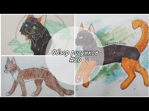 Видео: 🐾Обзор рисунков Котов-Воителей #20🐾