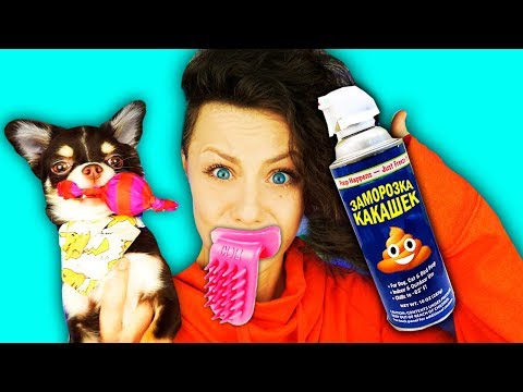 Видео: ТОП 5 БЕЗУМНЫХ и СТРАННЫХ ТОВАРОВ для ЖИВОТНЫХ! Петшопинг Magic Family