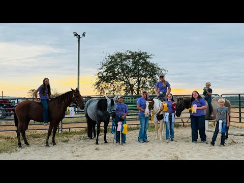 Видео: ЭТО ДЕНЬ ШОУ!!