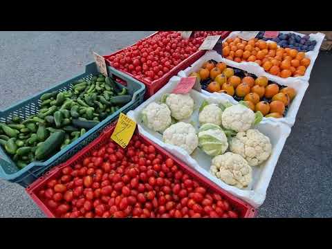 Видео: Эстония. Рыбные  вкусняшки из SHO .🍤🦪🍣