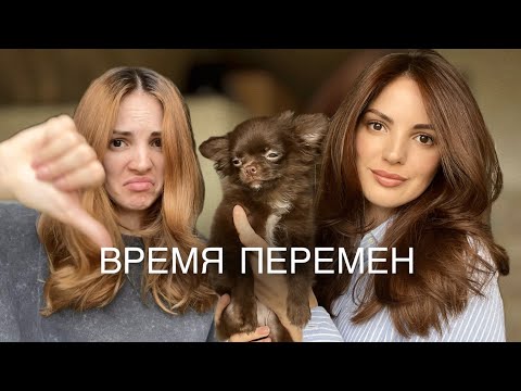 Видео: КРАШУСЬ В ШАТЕНКУ / ЗАВЕЛА СОБАКУ