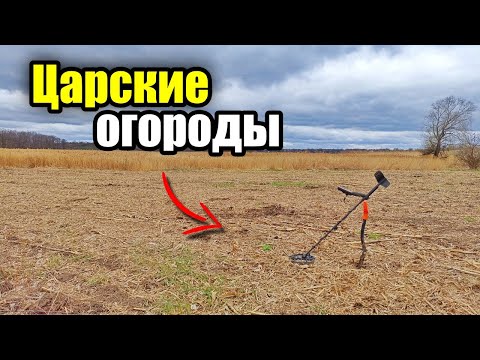 Видео: Долгожданные огороды. Коп с MD Nokta Makro Simplex plus