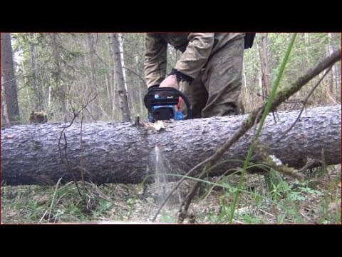 Видео: Рыбалка Как пилить чтоб не зажимало бензопилу охота тайга сибирь лес природа туризм выживание