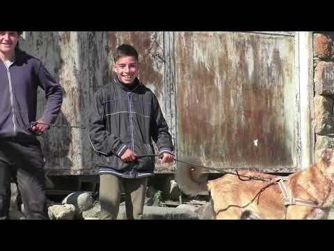 Видео: 2023г  Село Каноби