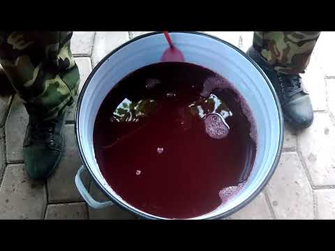 Видео: Вино из сливы. 3 часть.