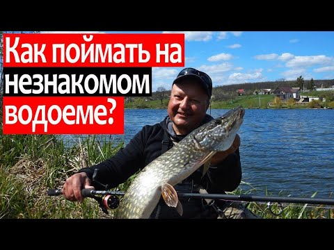 Видео: Как поймать на незнакомом водоеме? Сбор информации, выбор приманок и точек. Поиск рыбы