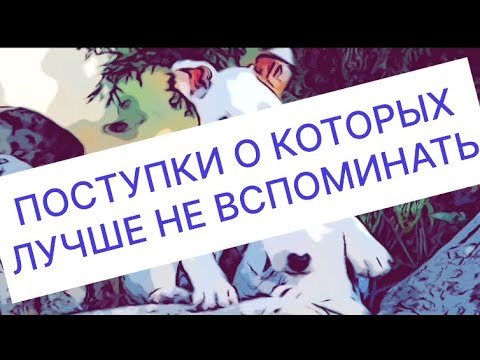 Видео: АРТЁМ СВЕТА ЧЕРНЕГИ ДОБРЫй, НЕ ЗНАЧИТ ГЛУПЫЙ #СамвелАдамян #saveliyad #ГрандеНик #ЧернегаСветаАртём 