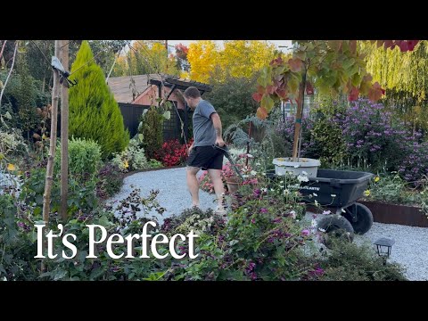 Видео: Возможно, я слишком много думаю о размещении деревьев || Посетите наш сад