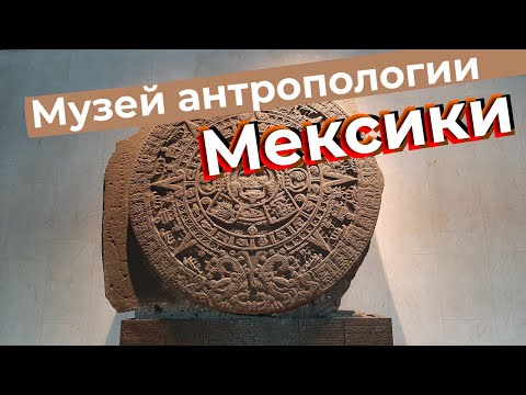 Видео: Музей антропологии Мексики / Зоткингид