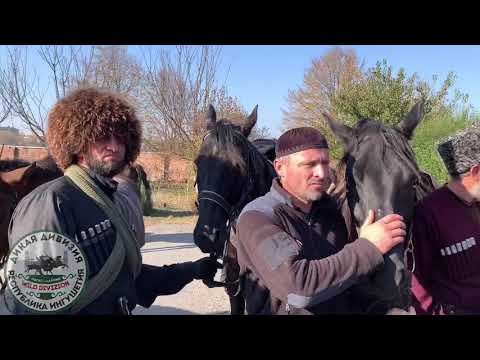 Видео: «Дикая Дивизия» в гостях у Мусы Зурабова