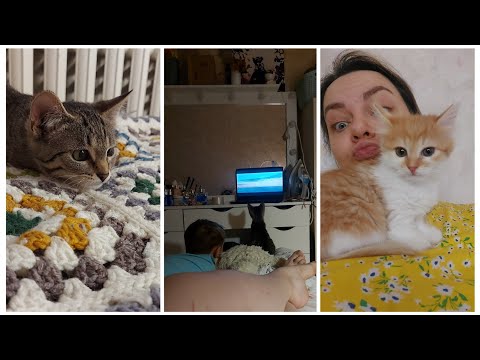 Видео: VLOG 545: ГРОМ-БАБА!