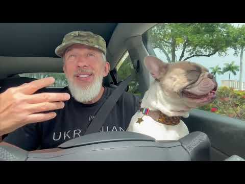 Видео: Как можно платить 10 тысяч долларов за девушку? Как мы пришли к этому?