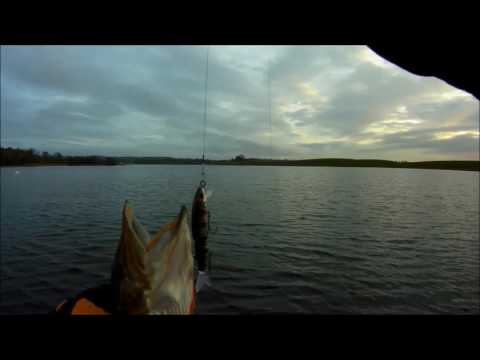 Видео: топ 5 воблеров  с алиэкспресс 2017 которые косят щуку